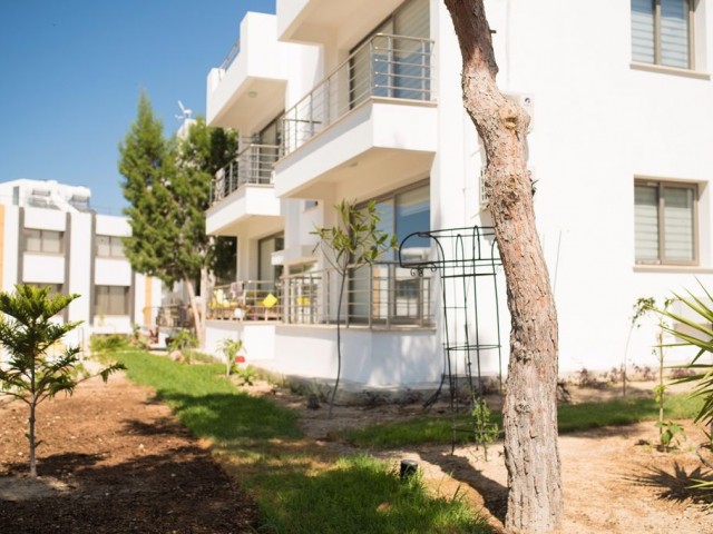 Flat To Rent in Girne Merkez, Kyrenia