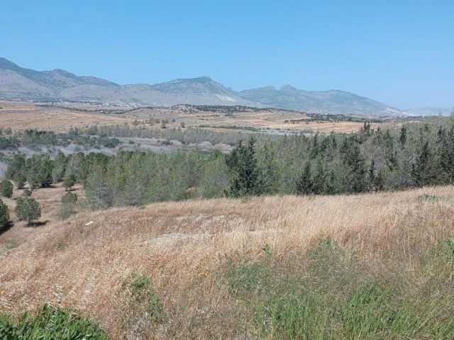 VILLA LAND FOR SALE IN A UNIQUE LOCATION IN GÖNYELİ