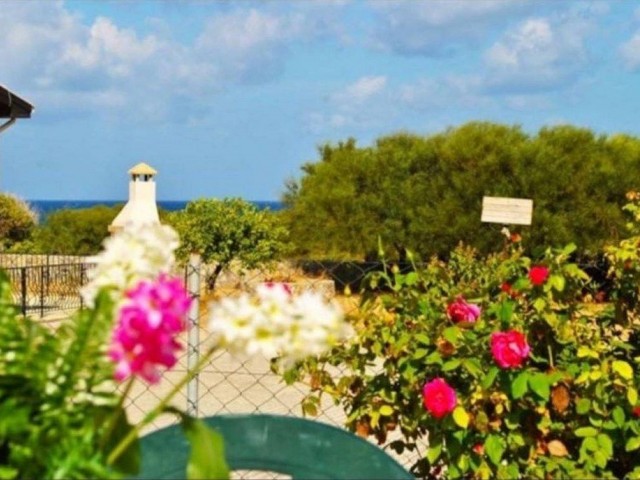 Nice 3 Bedroom Villa For Rent Location Lapta Coastal Walkway Seaside (Lapta Yuruyus Yolu) Girne (Communal Swimming Pool)