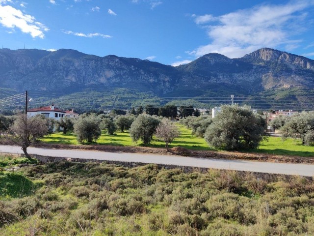 Villa Mieten in Lapta, Kyrenia