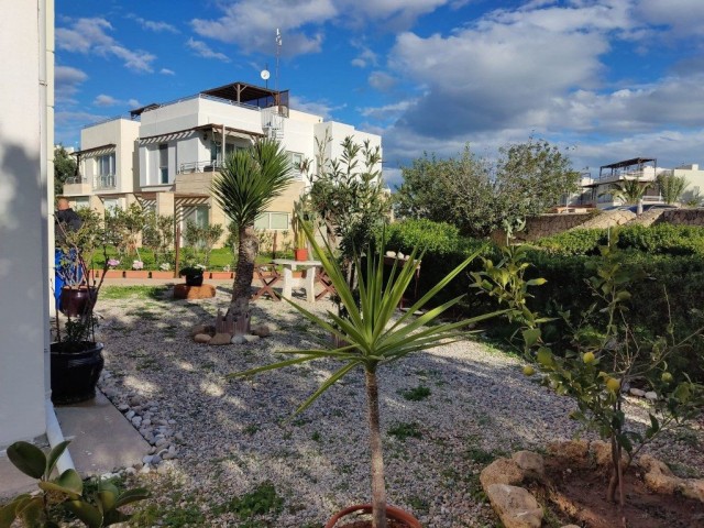  Nice 2 Bedroom Garden Apartment For Sale Location Esentepe Girne