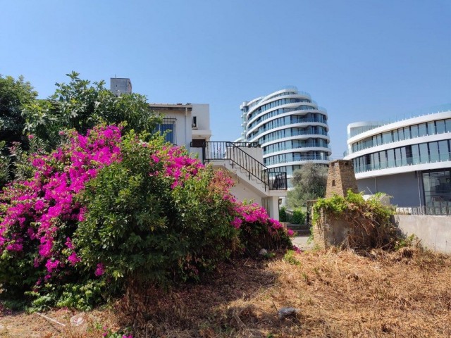 Great Business Opportunity Office For Rent Suitable For Any Kind Of Business Llosa Best Location Ne Llosa To Bellapais Trafic Light Behind Piabella Hotel And Casino Kyrenia. ** 