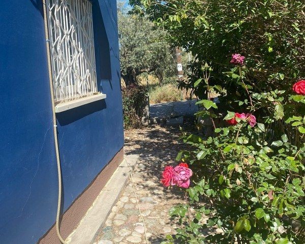 3 Bedroom House For Rent Location Near Sardunya Beach Lapta Girne