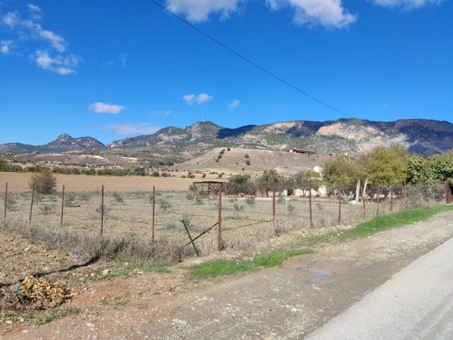 ویلا برای فروش in Şirinevler, گیرنه