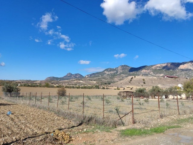 ویلا برای فروش in Şirinevler, گیرنه