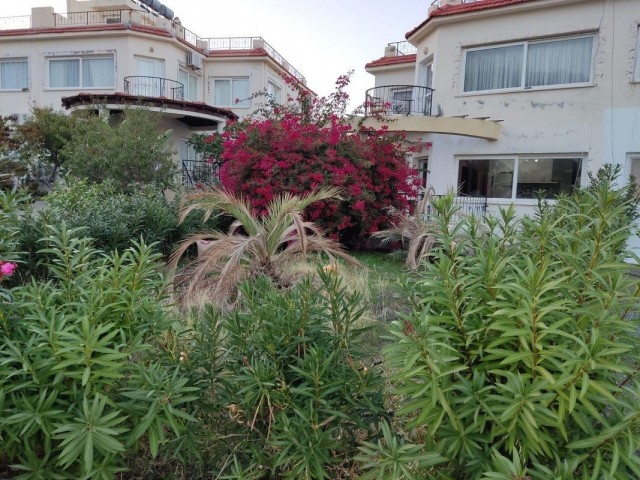 Nice Seaside 3 Bedroom Garden Apartment For Rent Location Lapta Coastal Walkway Girne (Lapta Yuruyus Yolu Kyrenia)(Communal Swimming Pool)