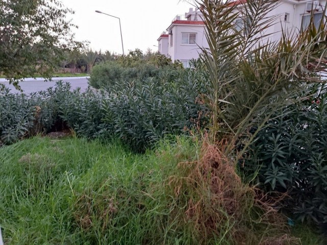 Schöne 3-Zimmer-Gartenwohnung am Meer zu vermieten, Lage Lapta Coastal Walkway Girne (Lapta Yuruyus Yolu Kyrenia) (Gemeinschaftspool)