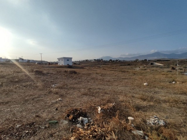 4 Plots For Sale Location Hamitkoy Lefkosa (With Building Permission)(Turkish Title Deeds)