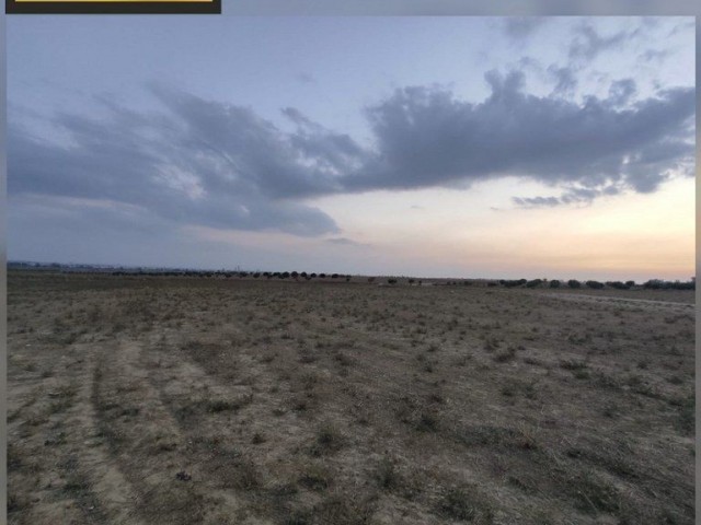 6690m2 Land For Sale Location Haspolat Near Lefkosa Highway (Turkish Title Deed)