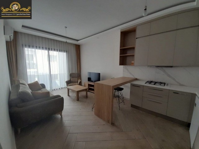 2 Bedroom Apartment For Rent Location Avangart Girne 