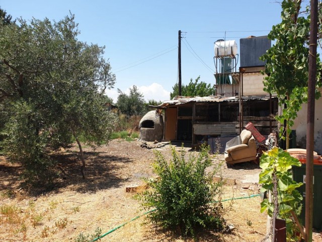 Einfamilienhaus Kaufen in Yukarı Bostancı, Guzelyurt