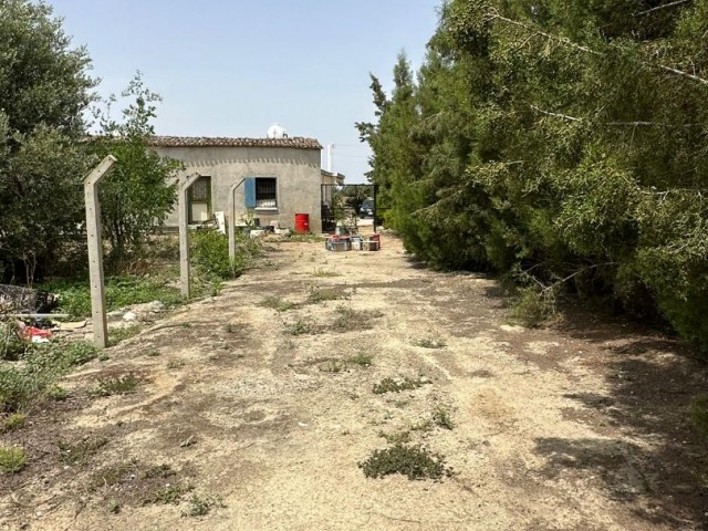 Village House for Sale in Gonendere, Famagusta