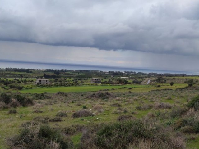 زمین برای فروش در Güzelyurt Cengizköy