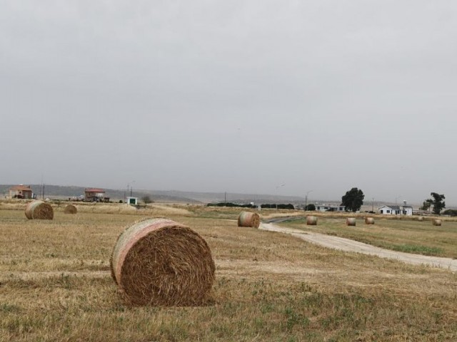 Lefkoşa Türkeli'de Satılık Arazi