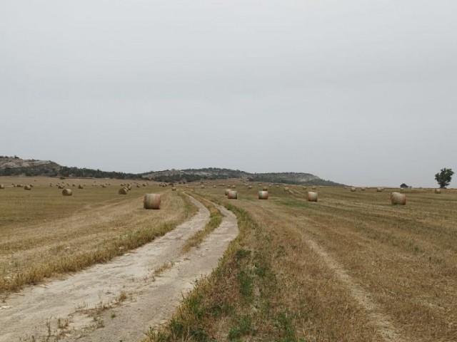 Land for Sale in Nicosia Türkeli