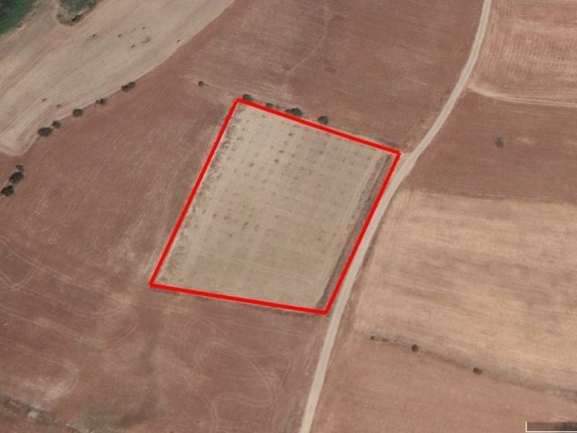 Field for Sale in Kyrenia Nomad Area