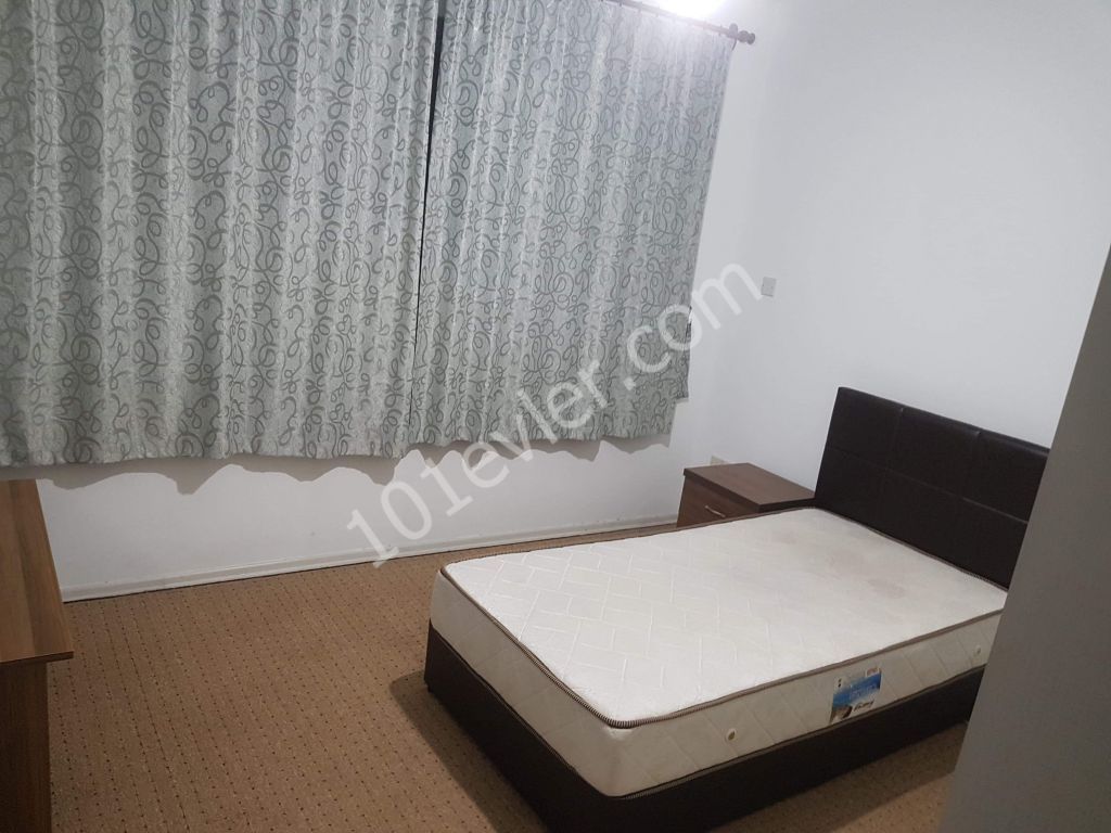 3+1 large flat in the center of Nicosia , lefkoşa furnished