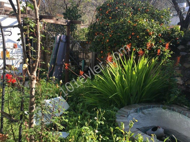 Detached House To Rent in Bellapais, Kyrenia