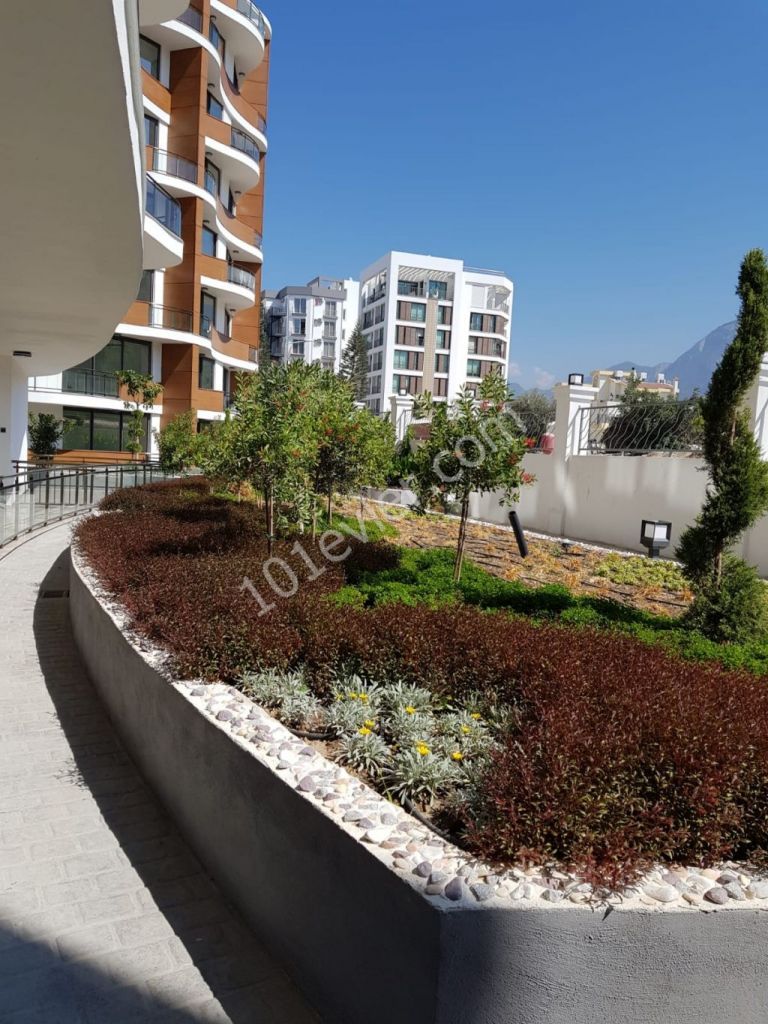 квартира Продается in Zeytinlik, Кирения