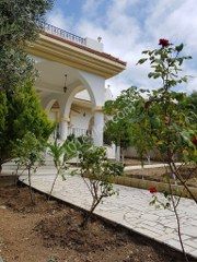 3 bed luxury villa with swimming pool, Zeytinlik