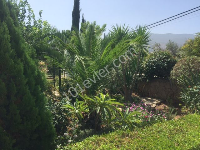 Villa For Sale in Yeşiltepe, Kyrenia