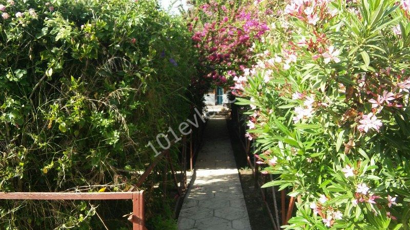 Bungalow Kaufen in Yeşiltepe, Kyrenia