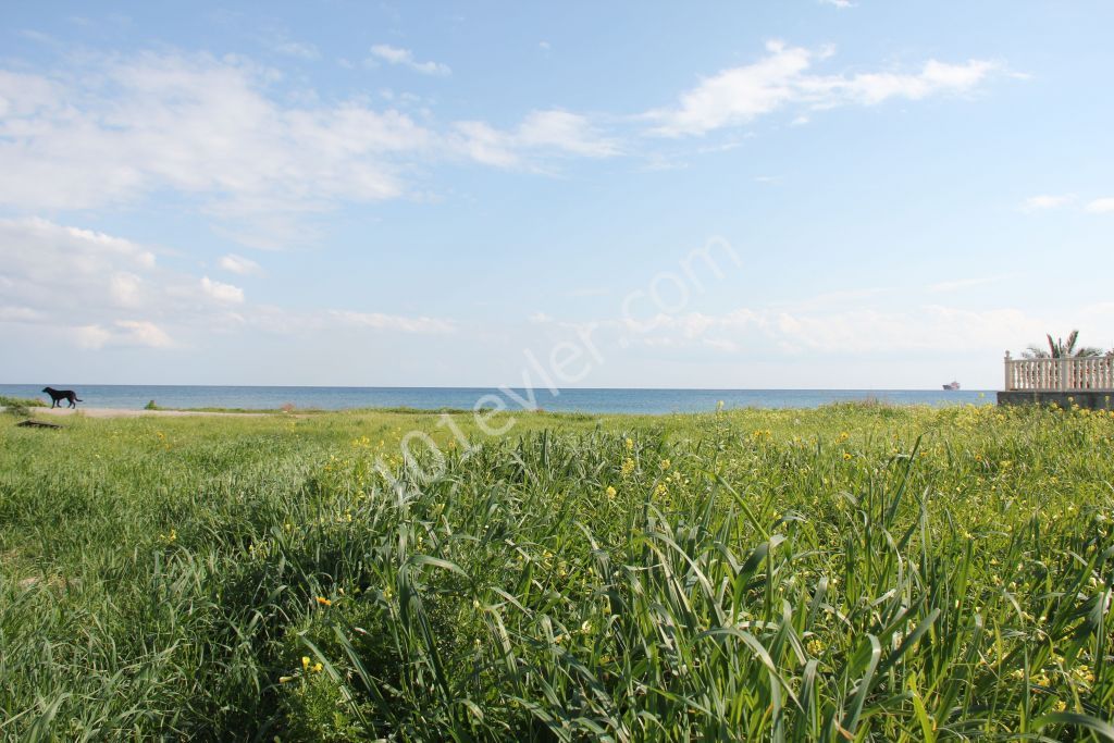 Building Plot right by the Sea