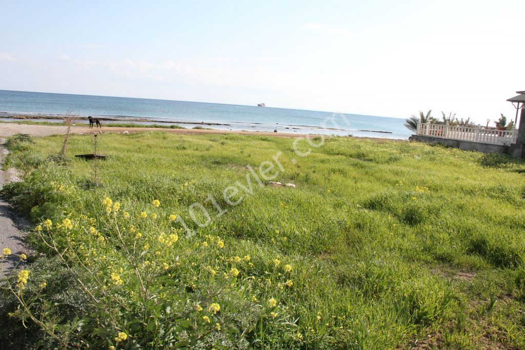 منطقه مسکونی برای فروش in Boğaz, ایسکله