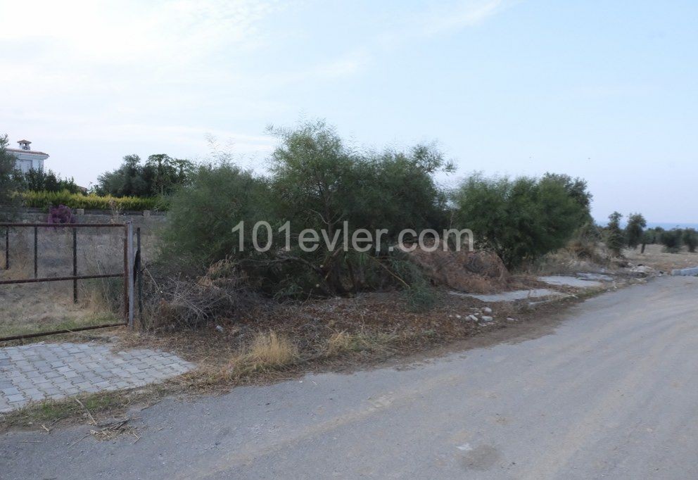 Turkish Title Deed plots with spectacular mountain and sea views.
