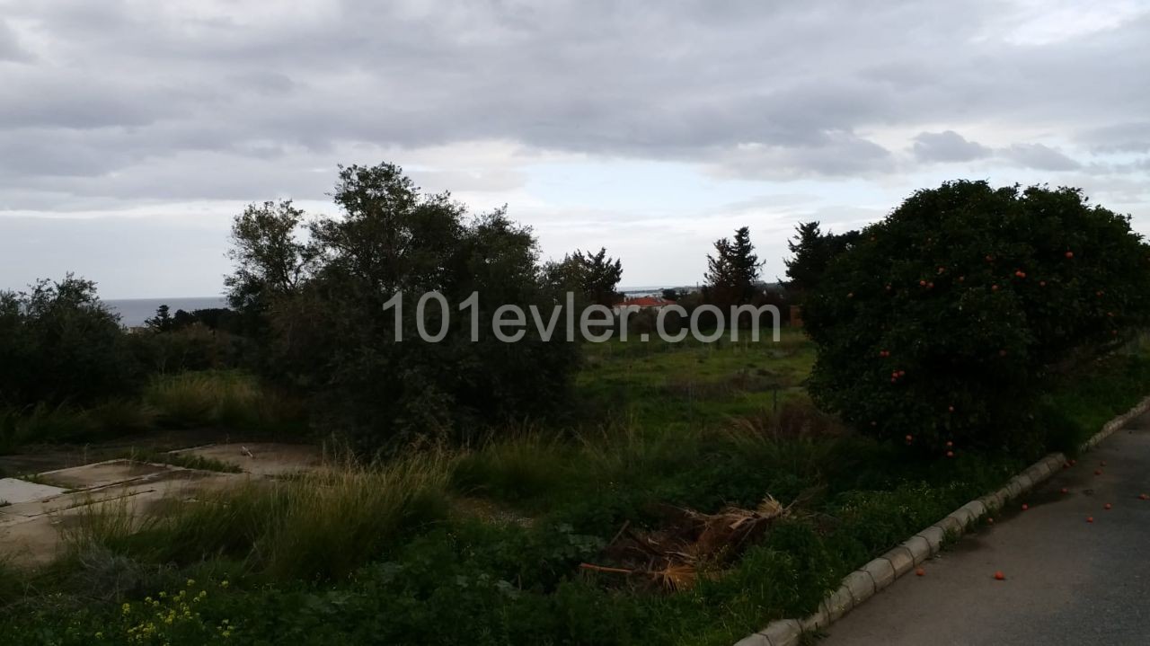 2 DECARES OF LAND FOR SALE IN LAPTA CENTRAL LOCATION 1400 SQUARE METERS ** 