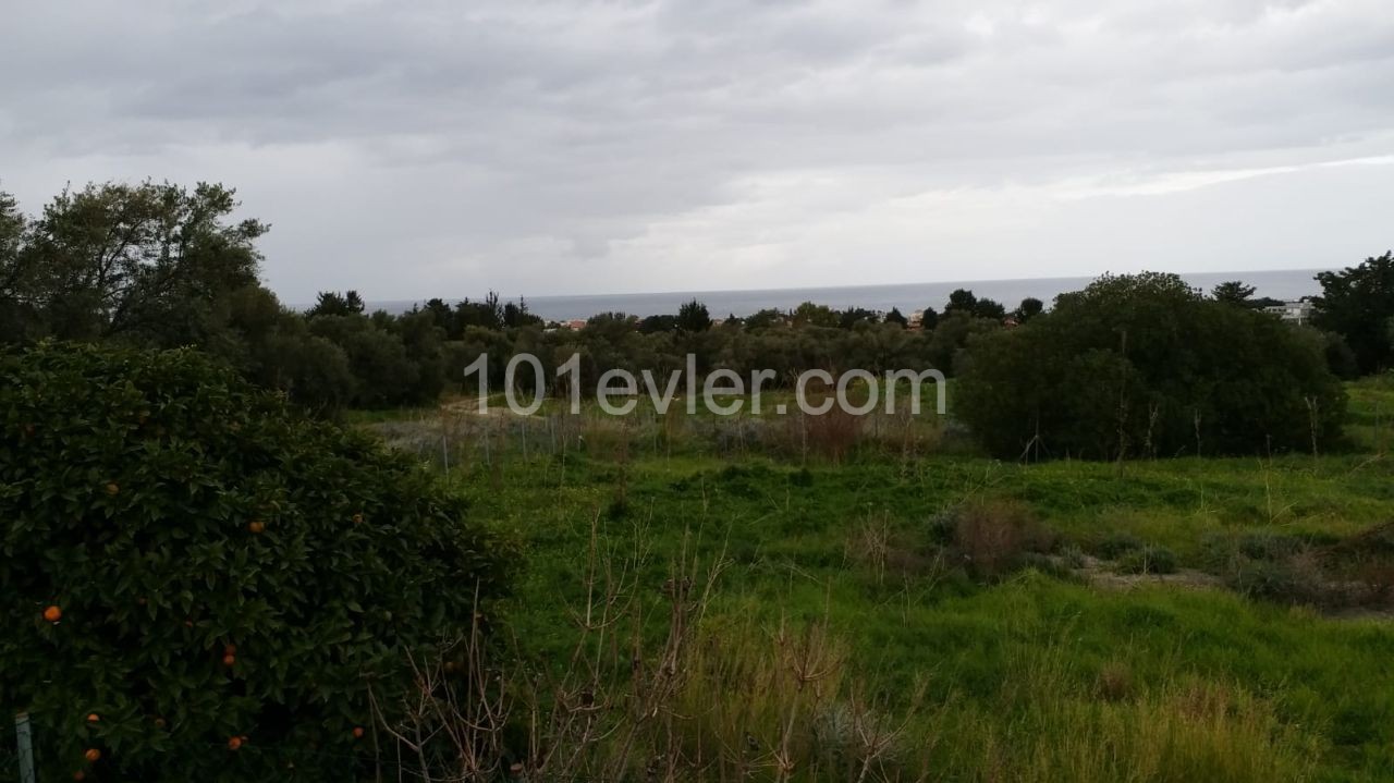 2 DECARES OF LAND FOR SALE IN LAPTA CENTRAL LOCATION 1400 SQUARE METERS ** 