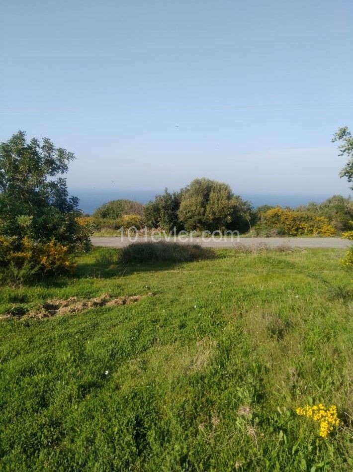  3345.00 M2 LAND FOR SALE İN KYRENİA KAYALAR