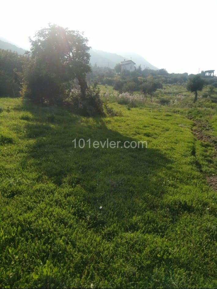  3345.00 M2 LAND FOR SALE İN KYRENİA KAYALAR