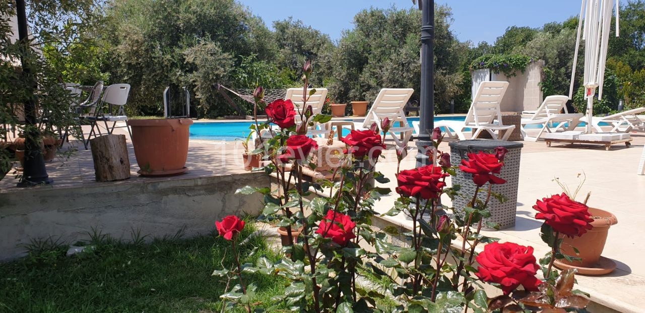 Villa To Rent in Bellapais, Kyrenia