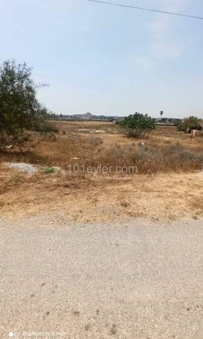 773.47 M2 LAND FOR SALE IN GAZİMAĞUSA TUZLA 