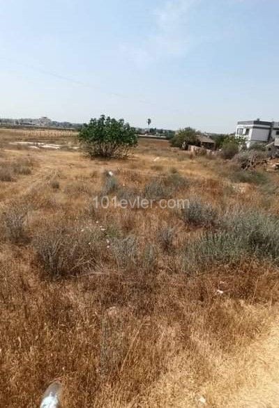 773.47 M2 LAND FOR SALE IN GAZİMAĞUSA TUZLA 