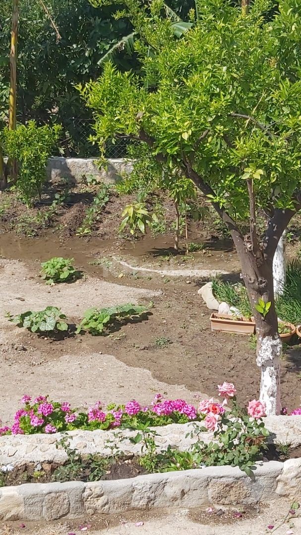 2+1 und 1+1 Einfamilienhaus mit schönem Garten in Kyrenia Lapta ** 