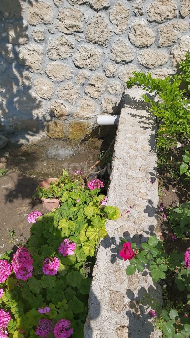 2+1 und 1+1 Einfamilienhaus mit schönem Garten in Kyrenia Lapta ** 