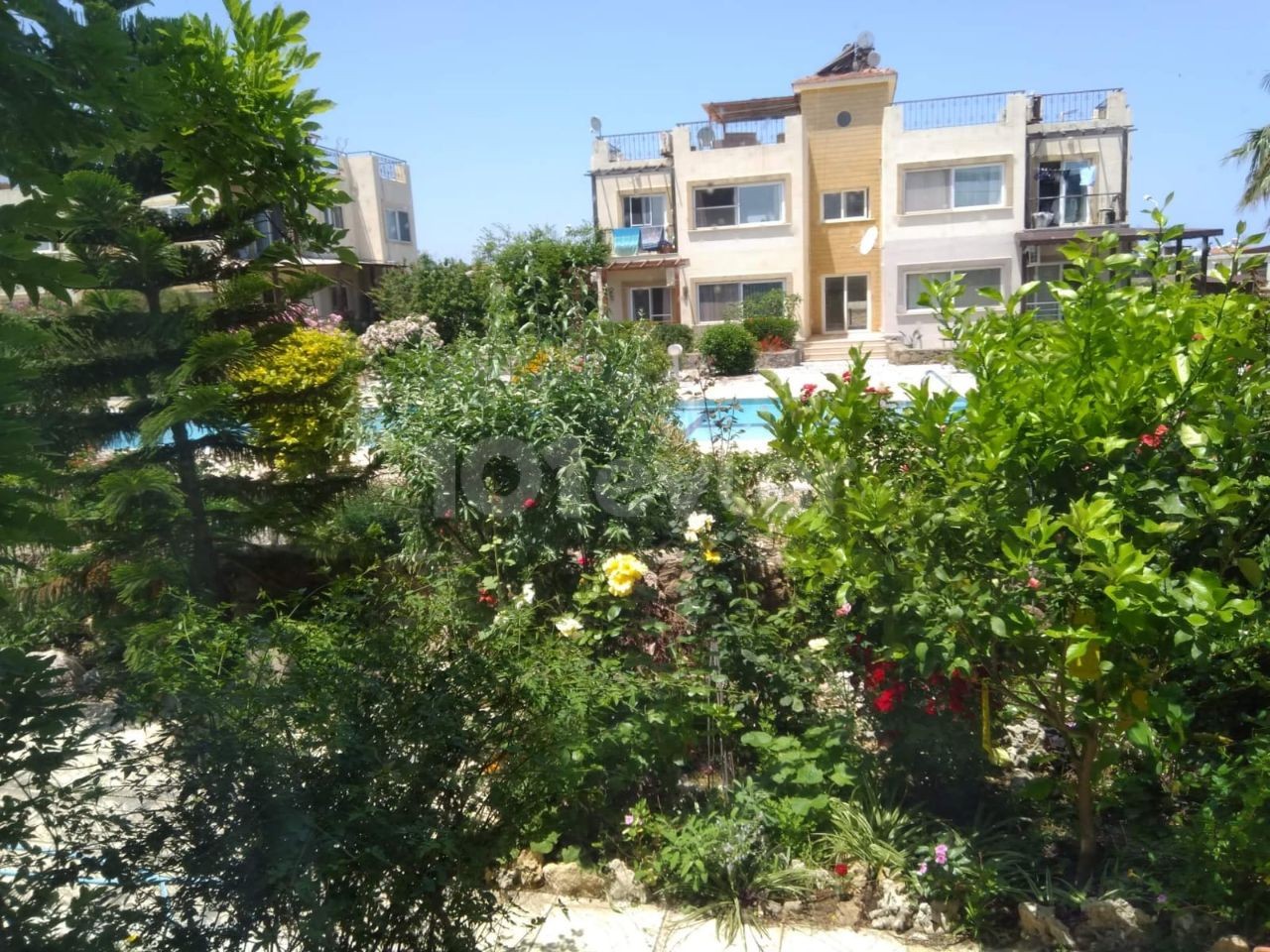 KYRENIA LAPTA IS ALSO LUX 3+1 2.BATH RENTAL APARTMENT VILLA ** 