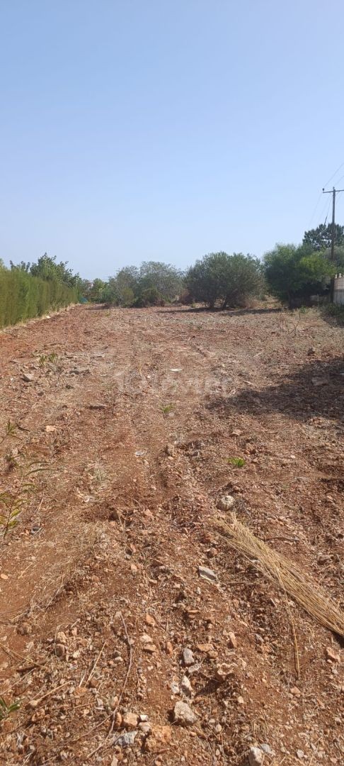 LAND FOR SALE IN ÇATAL Decoy Beylerbeyi ** 