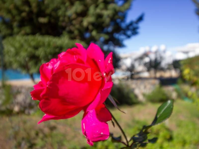 آپارتمان برای فروش در روستای چاتالکوی