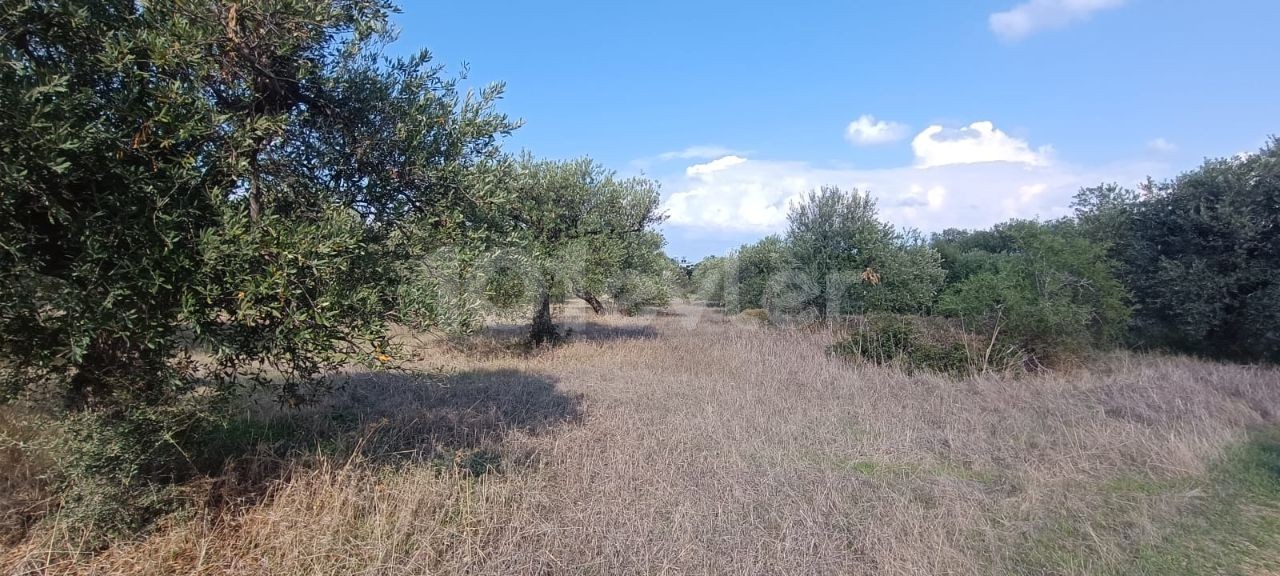 Residential Zoned Plot For Sale in Karşıyaka, Kyrenia