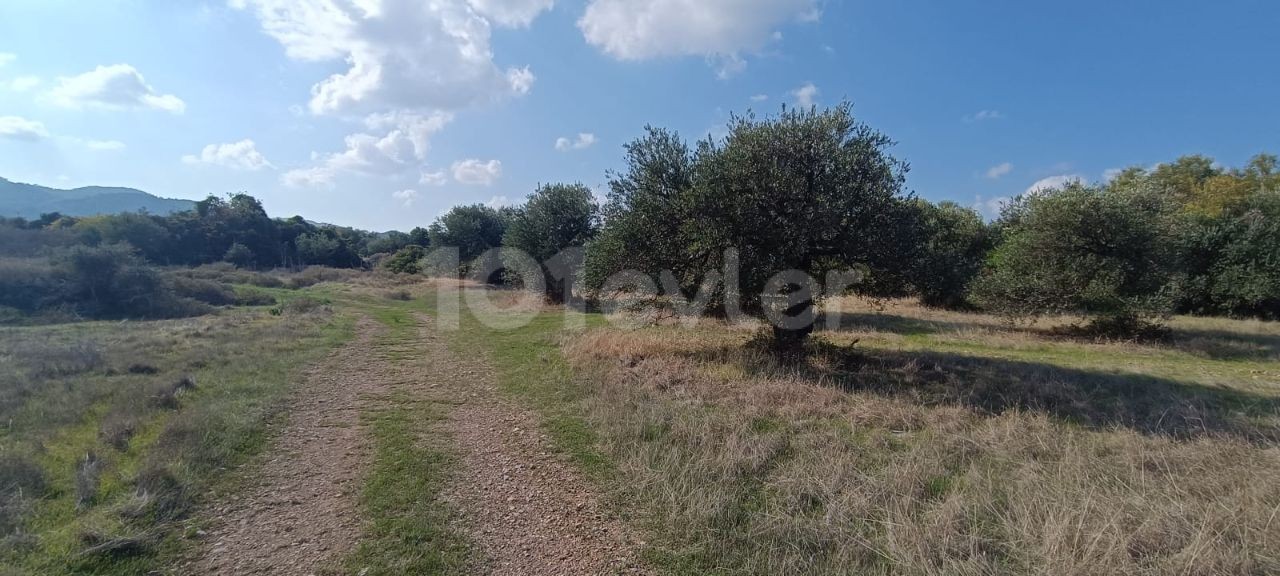 Residential Zoned Plot For Sale in Karşıyaka, Kyrenia