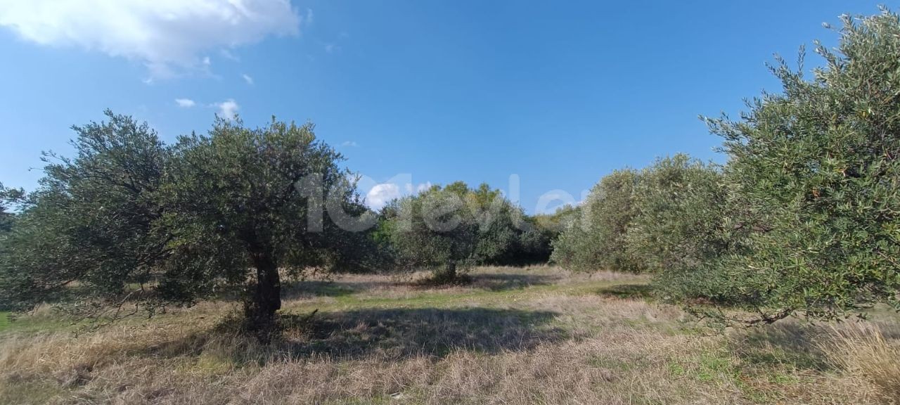 Residential Zoned Plot For Sale in Karşıyaka, Kyrenia