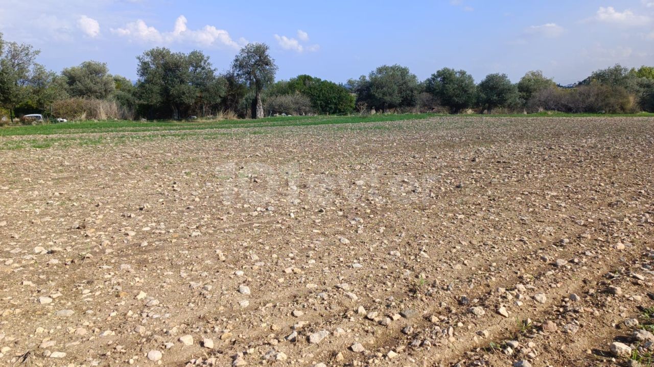 Wohngebiet Kaufen in Karşıyaka, Kyrenia