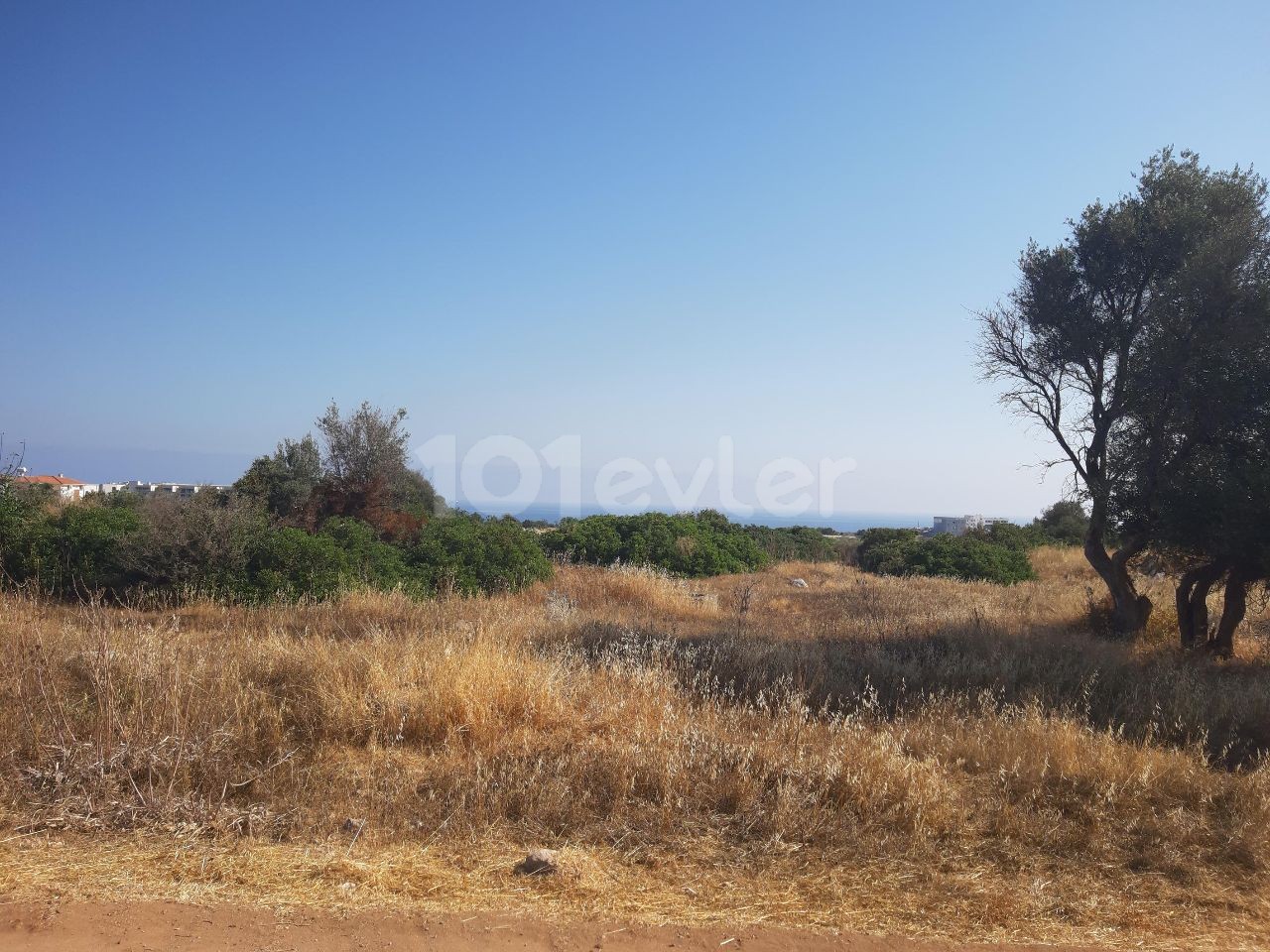 IN CHATALKÖY, IN DER REGION ELE ① HOTEL, IN DER NÄHE DES HOTELS UND DES MEERES, SEHR GUTE LAGE, MIT BLICK AUF DIE BERGE, DAS MEER UND DIE NATUR, 6 HEKTAR 3 HÄUSER GROß, IMARA OFFENES FELD ** 