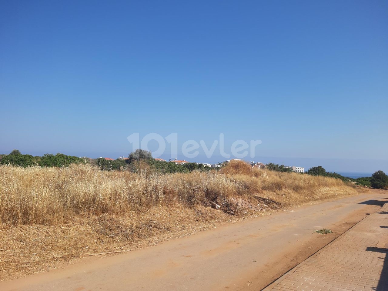 IN ÇATALKÖY, IN THE ELEXUS HOTEL AREA, CLOSE TO THE HOTEL AND THE SEA, IN A VERY GOOD LOCATION, WITH MOUNTAIN, SEA AND NATURE VIEWS, 6 ACRES 3 EVLEK SIZED, ZONED FIELD ** 