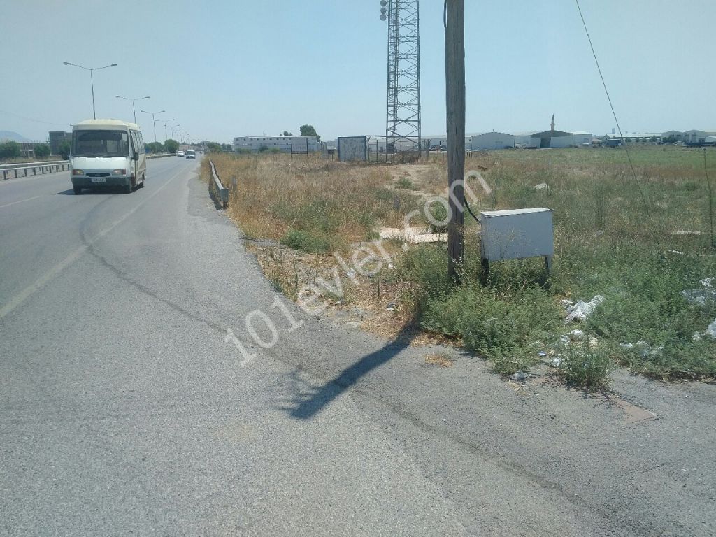 Land on main road 