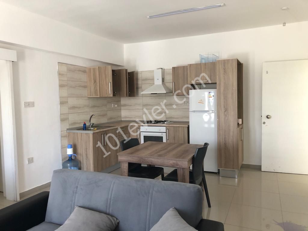 2+1 furnished apartment for rent in Nicosia Hamitkoy