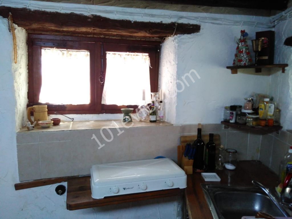 Flat To Rent in Zeytinlik, Kyrenia